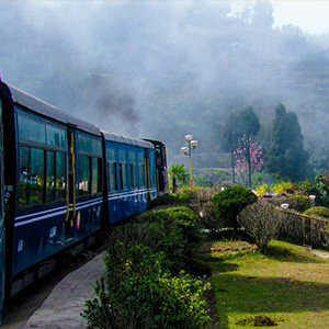 Darjeeling Packages Tour