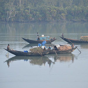 Sundarban Tour package 4 night 5day Dhaka  Sundarban  Dhaka